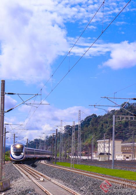 00304385449_c31d61fc