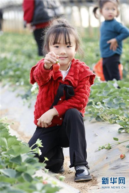 1310407371_16412565261871n