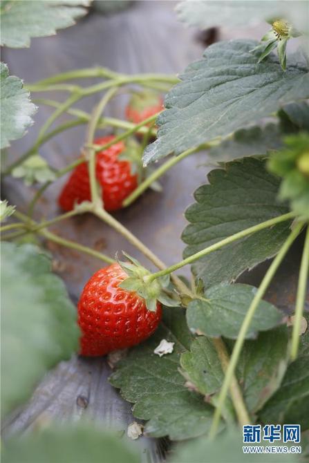 1310407371_16412565265721n