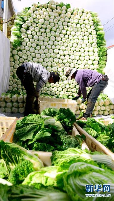 1310406713_16411725997771n