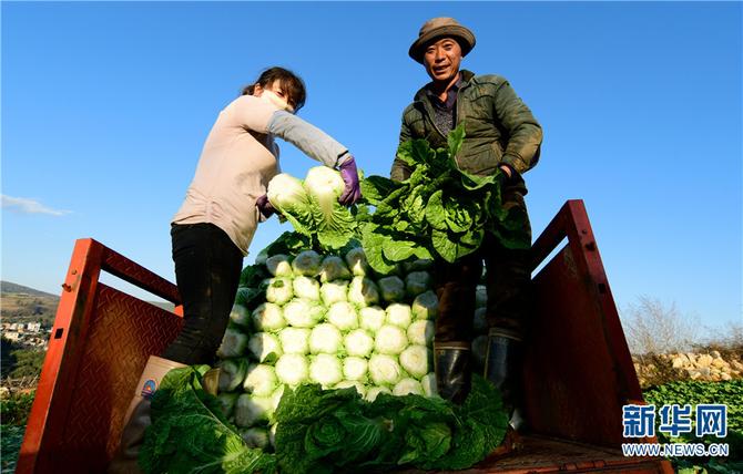 1310406713_16411726000741n