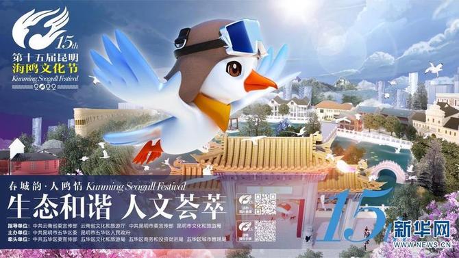 海鸥文化节 海鸥文化节