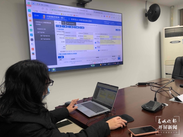 76.8万美元锡锭出口日本！云锡签发RCEP云南首单 赵丹青 摄