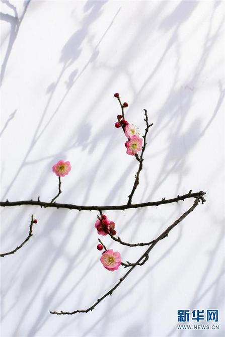 1310410896_16414300272351n