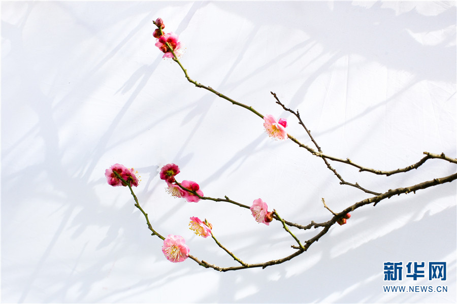 1310410896_16414300272811n