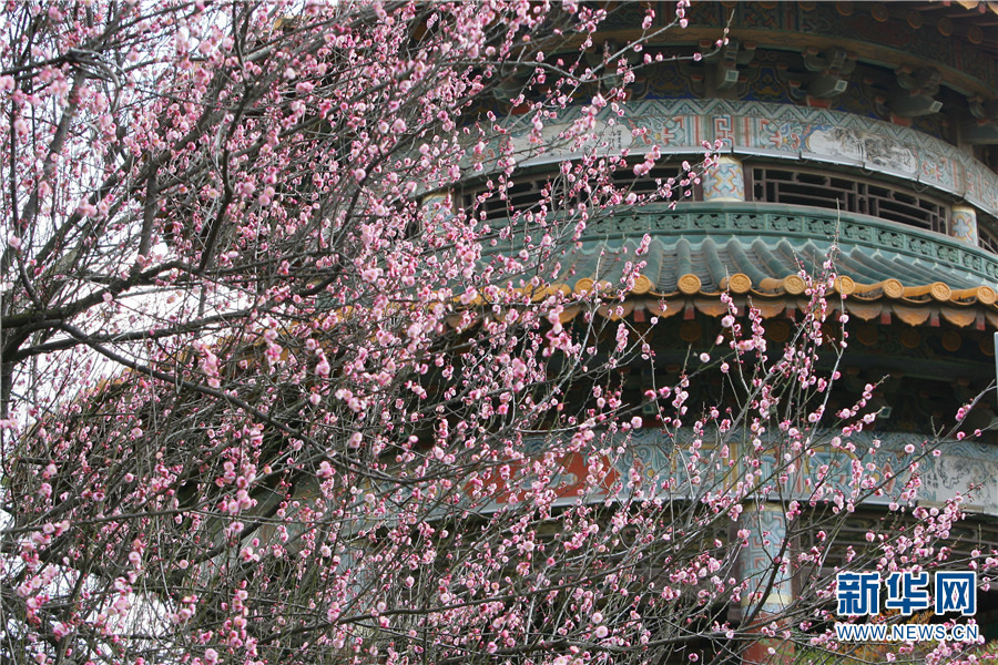 1310410896_16414300274061n