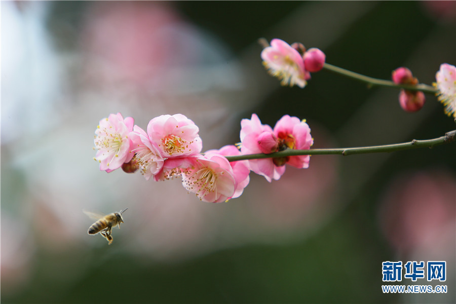 1310410896_16414300275001n