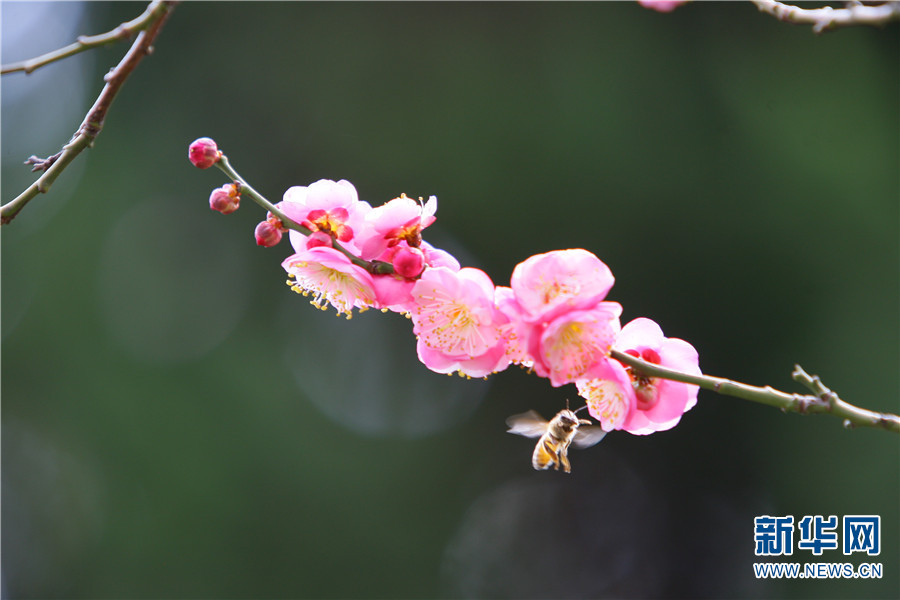 1310410896_16414300275471n