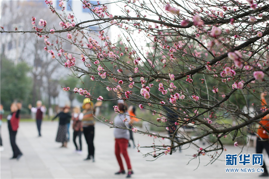 1310410896_16414300276101n