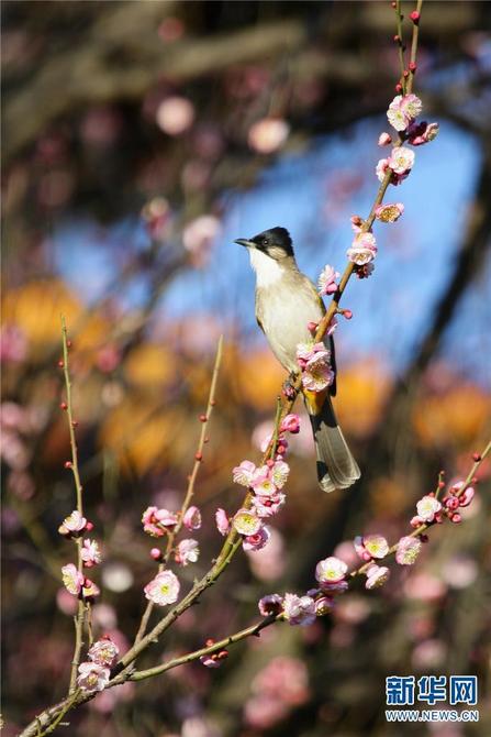 1310410896_16414300277661n