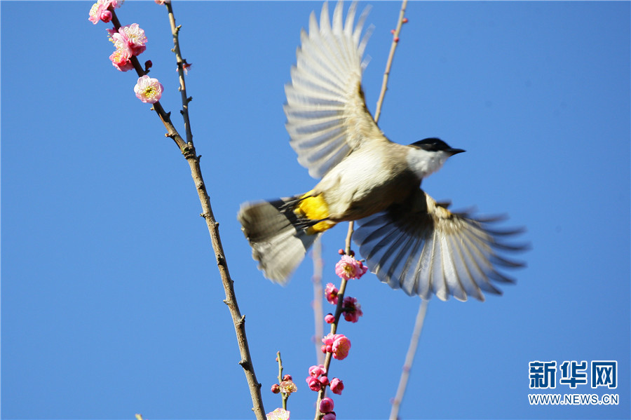 1310410896_16414300278131n