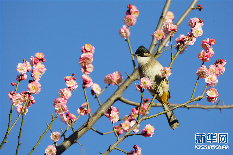 1310410896_16414300278751n