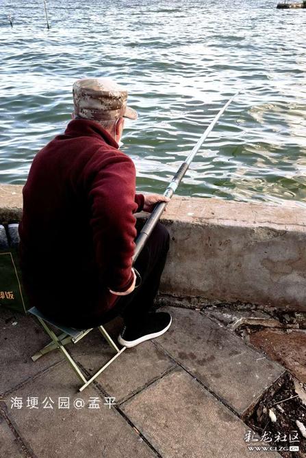 16412793769192838328215151310_5304 16412793769192838328215151310_5304