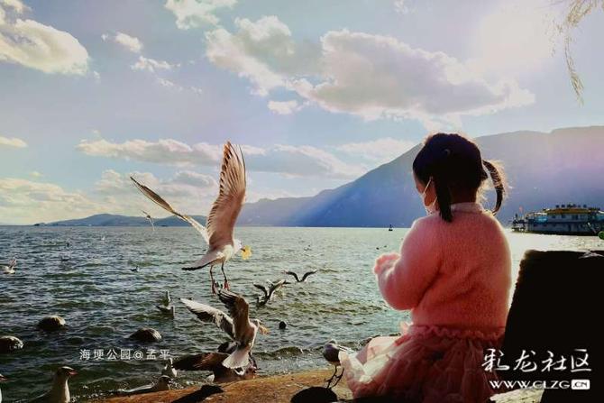 16412793765512911263858649245_5304 16412793765512911263858649245_5304