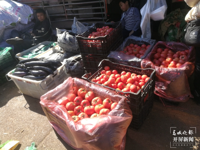 番茄价格上涨 夏体雷 摄