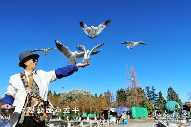 16416016736914738054944410087_5304 16416016736914738054944410087_5304