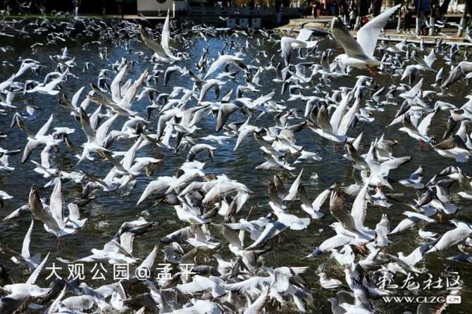 16416016738557714528537046207_5304 16416016738557714528537046207_5304