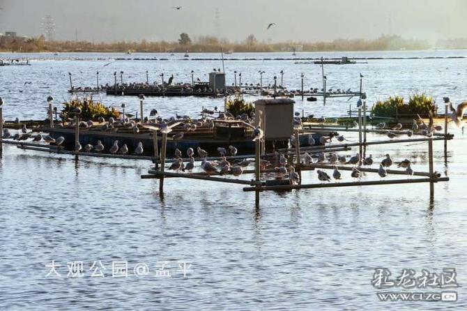 16416016735827264002786868880_5304 16416016735827264002786868880_5304