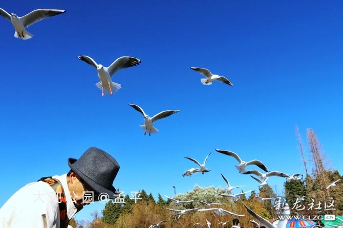 16416016739094748695482376001_5304 16416016739094748695482376001_5304