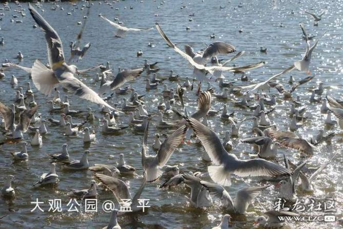 16416016738392108110061642456_5304 16416016738392108110061642456_5304