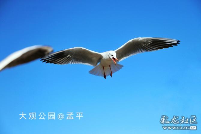 16416016737457124156560179205_5304 16416016737457124156560179205_5304