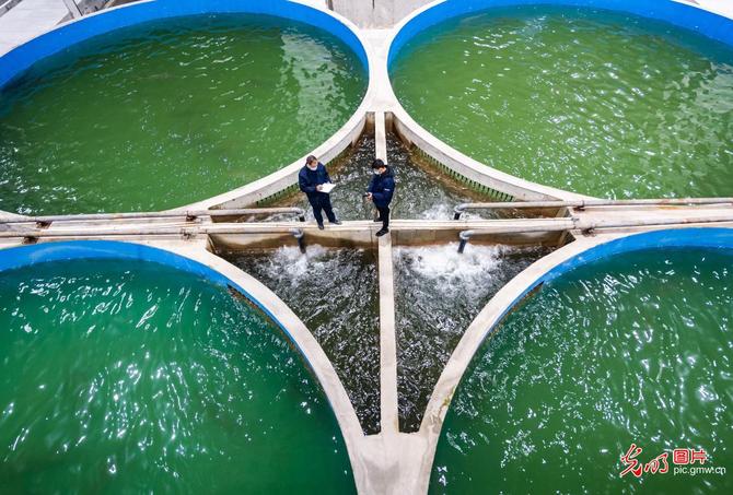 f44d3075890f2348725003