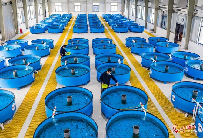 f44d3075890f2348893f11