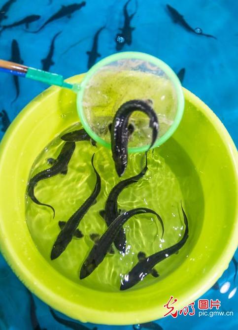 f44d3075890f2348893f12