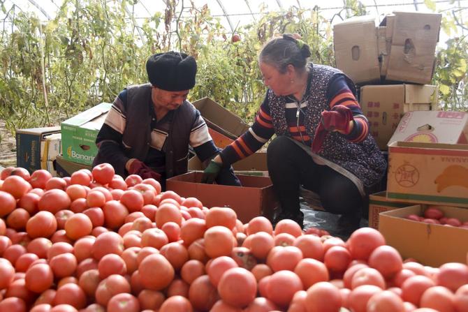 ed40e51eb141446c847375face843730 ed40e51eb141446c847375face843730