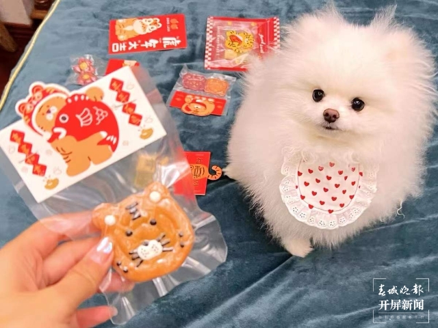 新年元素的宠物用品持续热销（马艺宁 实习生 梁燕灏宇 杨宇婷 摄）