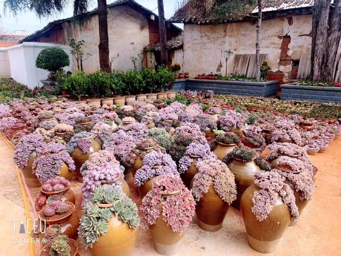 微信图片_20220113091857