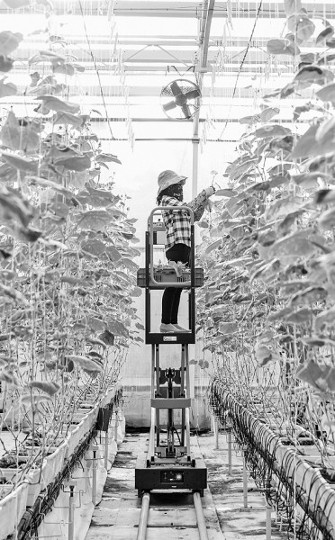 “十八连丰”背后的科技底气