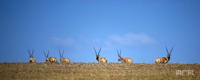 4ee951d2562f9164197997297181455211 4ee951d2562f9164197997297181455211