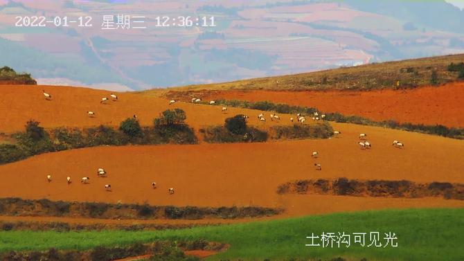 微信图片_20220114165154