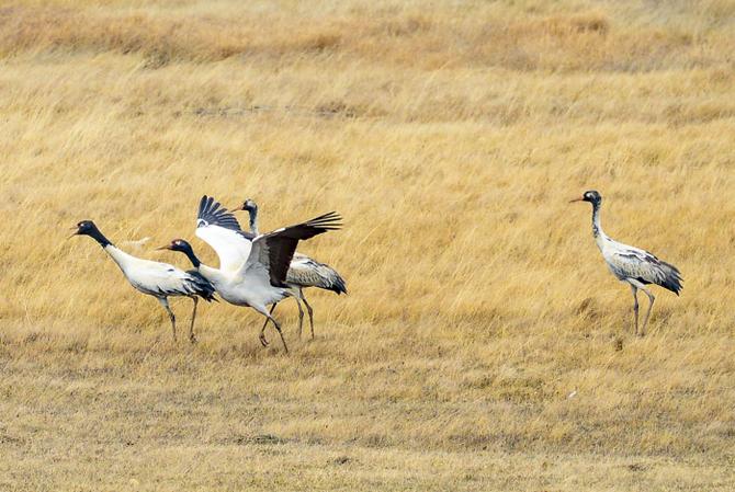 微信图片_20220114165217