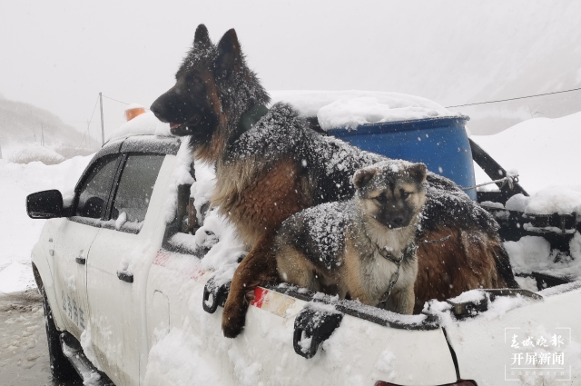 660天94批376人，这群戍边人终于“被迫”下山了（张勇 通讯员 代超 摄）