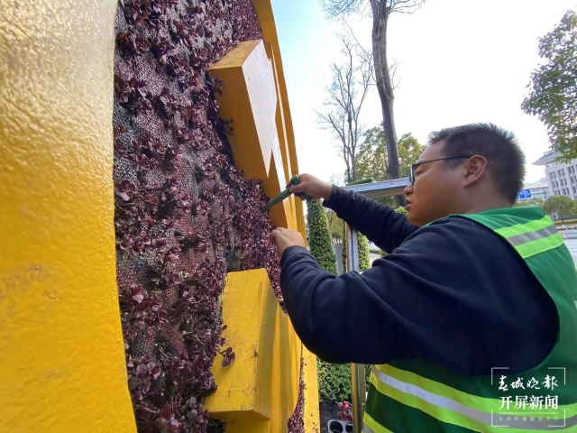 昆明多个立体花坛集体“换冬装”(开屏新闻记者 孙琴霞 摄)