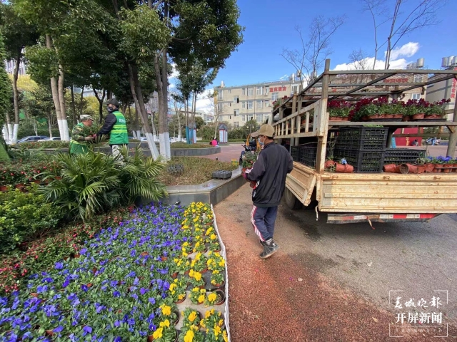 昆明多个立体花坛集体“换冬装”(开屏新闻记者 孙琴霞 摄)