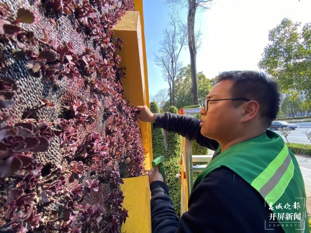 昆明多个立体花坛集体“换冬装”(开屏新闻记者 孙琴霞 摄)