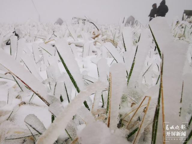 昭通多地今日下雪，叫冷声一片，请注意防寒抗旱！