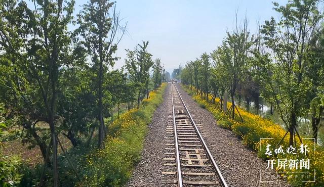 小火车经过附近的田园-刘畅 摄.jpg