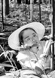 福建深入推进科技特派员制度：让“科技之花”绽放沃野山川