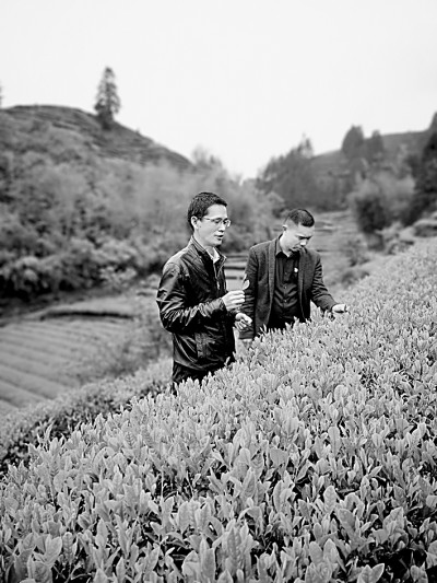 福建深入推进科技特派员制度：让“科技之花”绽放沃野山川