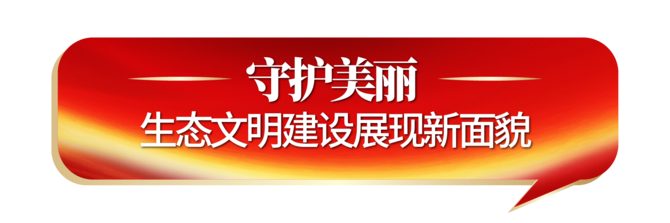 守护美丽.png 守护美丽.png