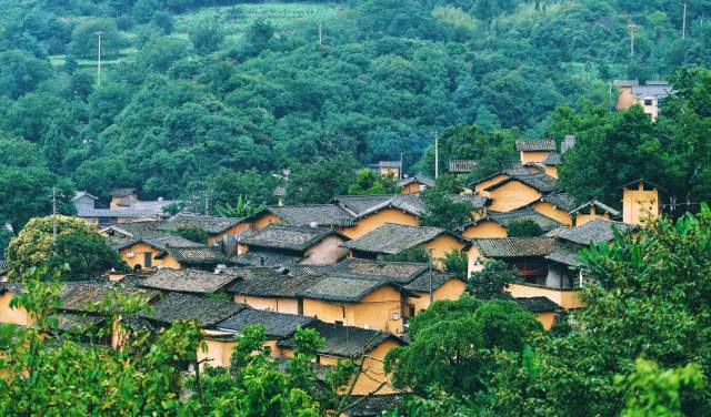 云南全面建成五级林长制（云南省林业和草原局供图）