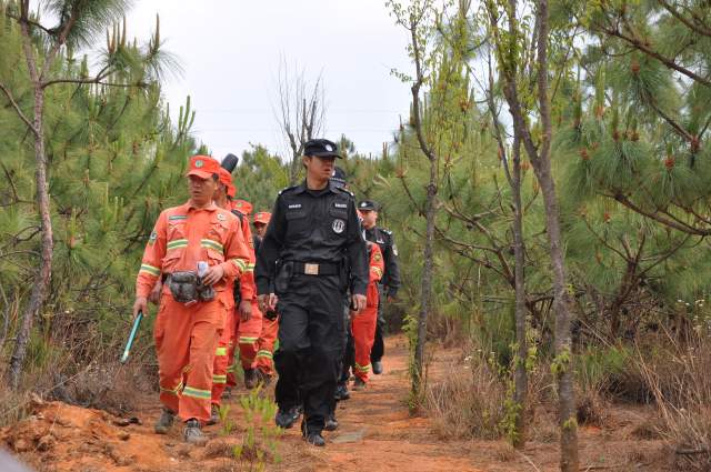云南全面建成五级林长制（云南省林业和草原局供图）