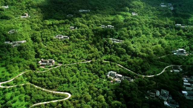 云南全面建成五级林长制（云南省林业和草原局供图）