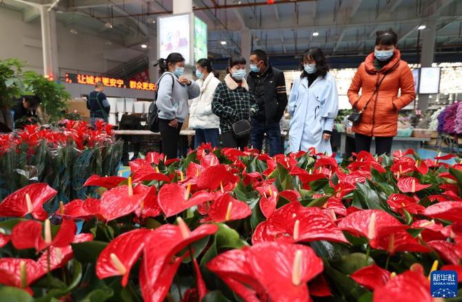 1128296498_16430298867591n