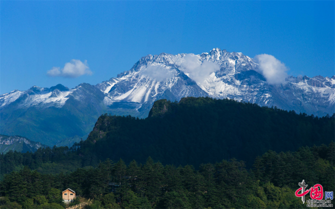 6277b9d4-773d-4c3e-9b0a-7b7e892a8eaa 6277b9d4-773d-4c3e-9b0a-7b7e892a8eaa