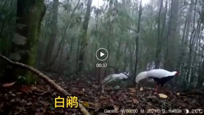 微信图片_20220126194820 微信图片_20220126194820